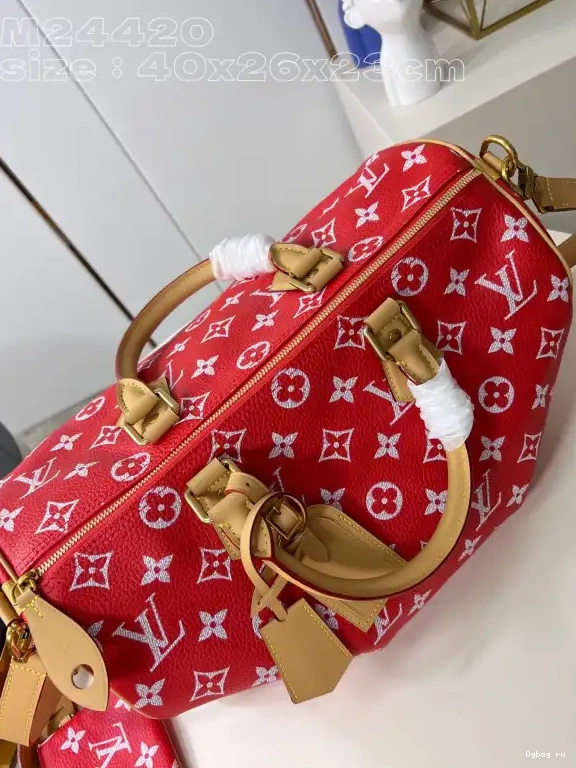 SPEEDY 40 Louis Vuitton 0610